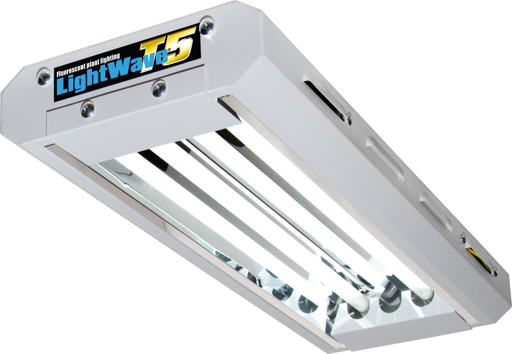 T5 Propagation Light