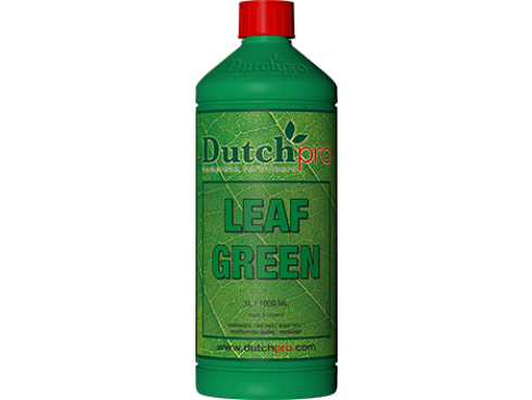 Dutchpro Leaf green