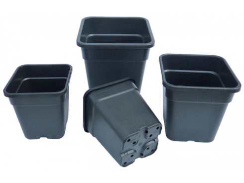 Premium Square Pots