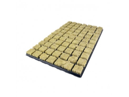 Grodan 36mm - Tray of 77 Cubes