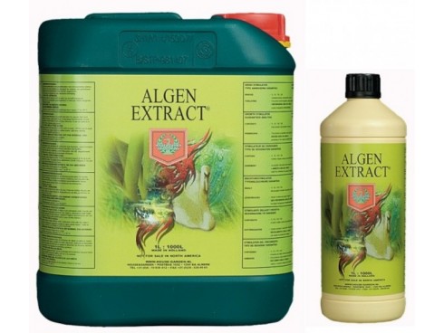 Algen Extract