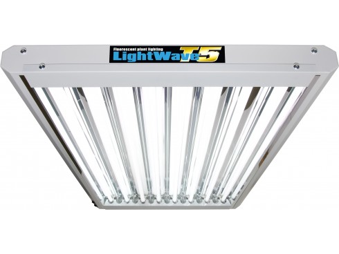 LightWave T5