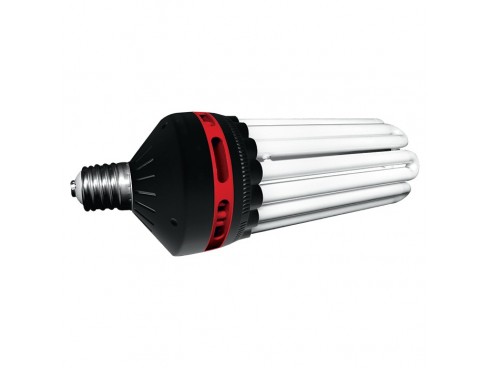 Cfl shop street light