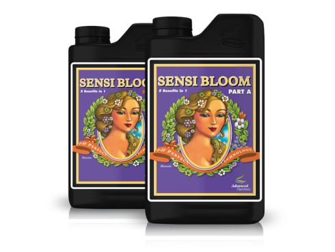 Sensi Bloom A+B