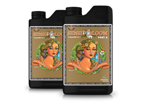 Sensi Coco Bloom A&B 