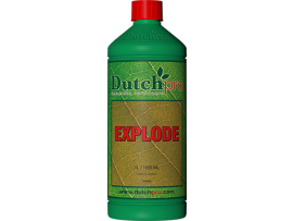 Explode Dutch Pro