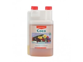 Coco A+B