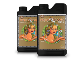 Sensi Coco Bloom A&B 