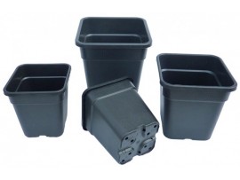 Premium Square Pots