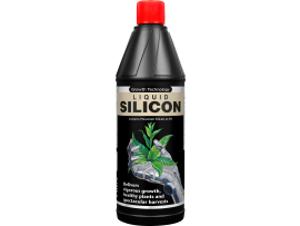 Liquid Silicon