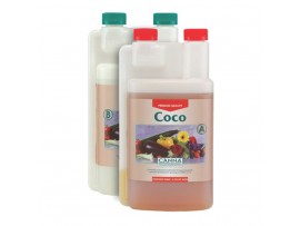 Coco A+B