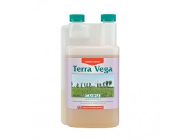 Terra Vega