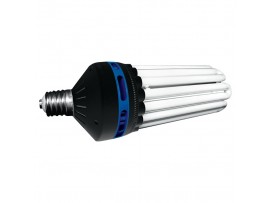 STREET LIGHT 6400K BLUE CFL