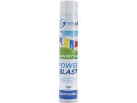 Laundry Day Power Blast Spray